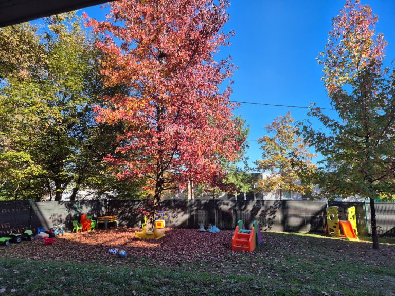 megevie_8173410922803635855